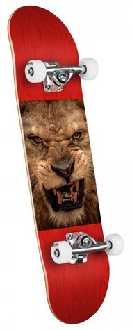 Mini Logo Complete Chevron Lion Eyes 2 - main image