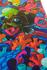 Enuff Lost at Sea Goldfish Deck come in 2 sizes - thumbnail image 2